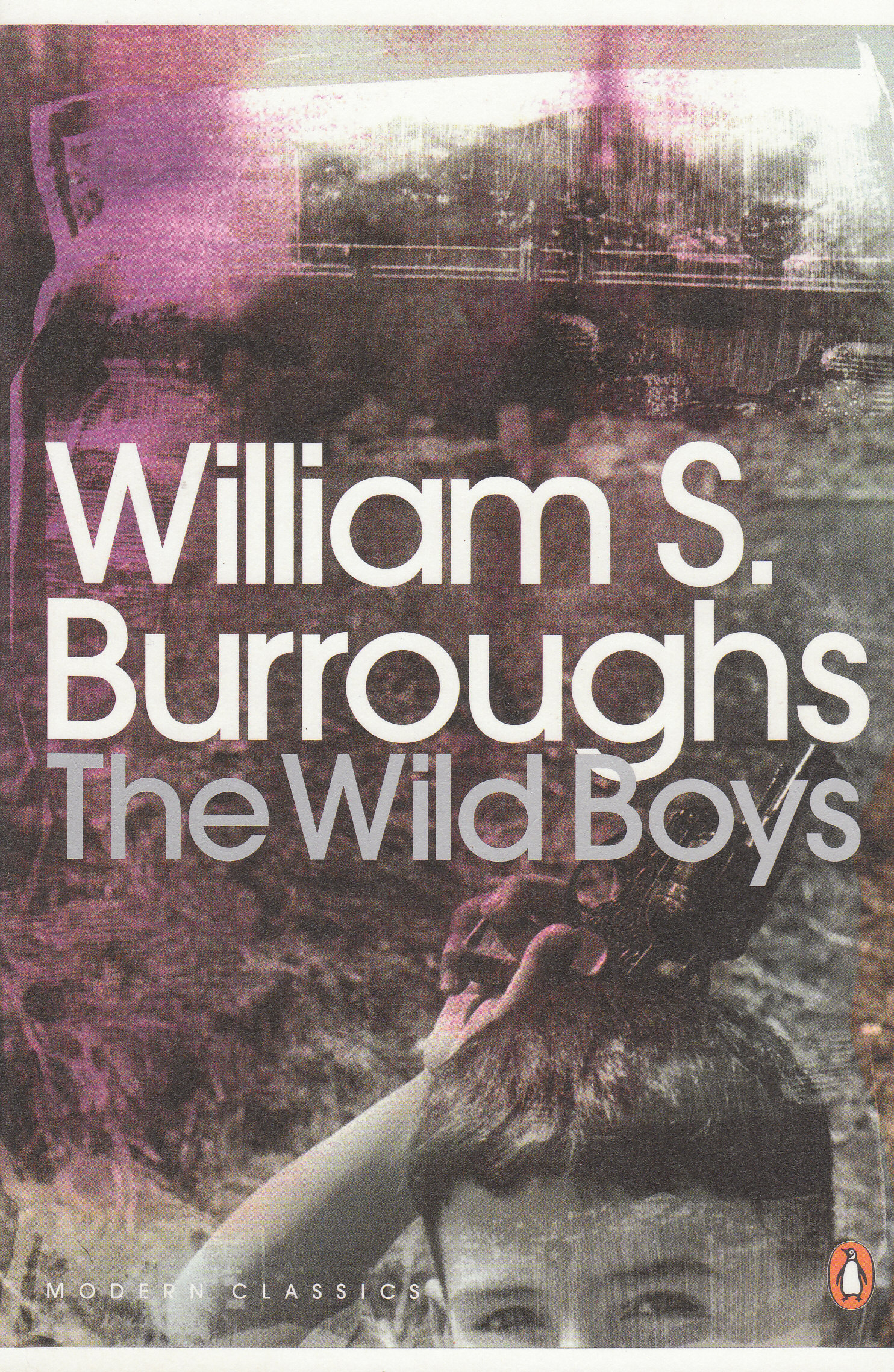 the wild boys book cover